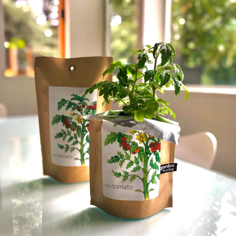 Mini Tomato - Garden In A Bag
