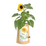 Sunflower - Garden In A Bag
