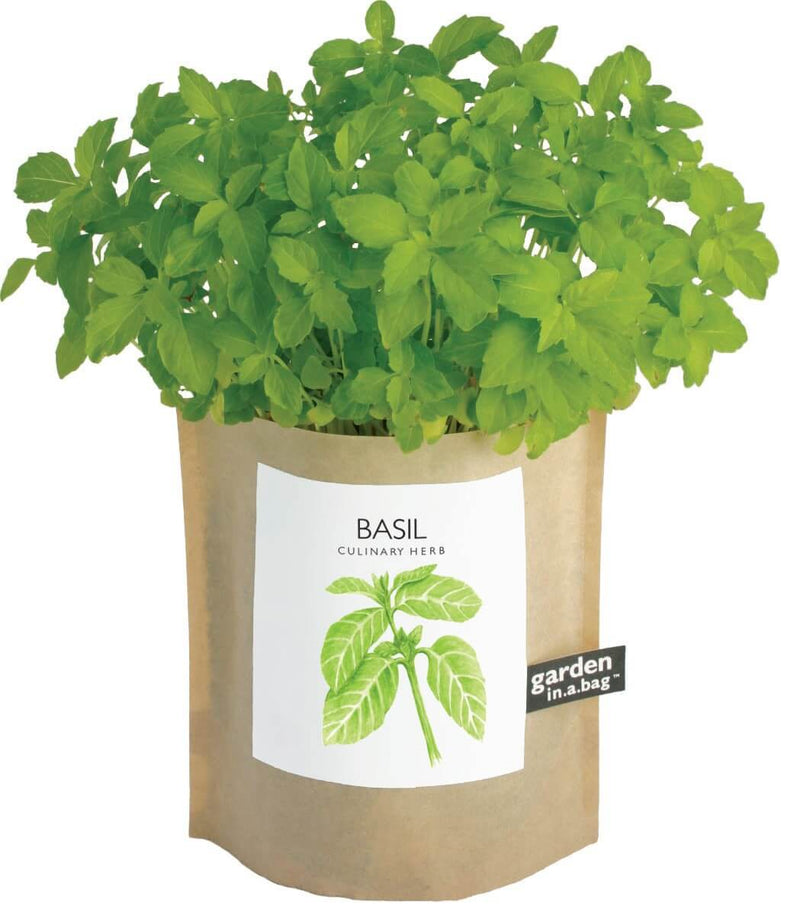 Basil - Garden In A Bag
