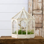 Metal Conservatory Terrarium