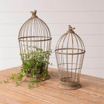 Rusty Metal Birdcage