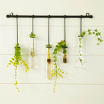 Plant Propagation Wall Hanger