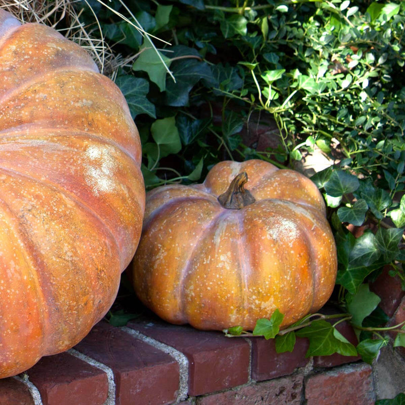 Garden Pumpkins