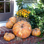 Garden Pumpkins