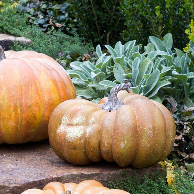 Garden Pumpkins