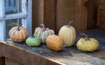 Miniature Pumpkins Set