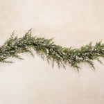 Snowy Cedar Collection