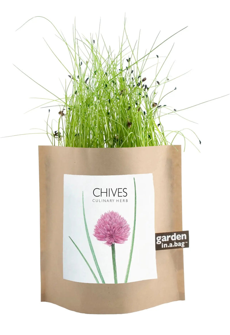 Chives - Garden In A Bag