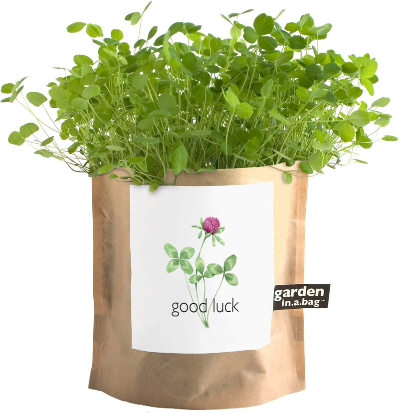 Good Luck - Garden In A Bag