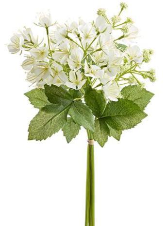 White Cleome Spider Bundle Afloral